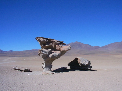 Arbol de piedra