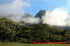 Morgennebel im Refugio volcanes