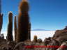 Salzsee von Uyuni